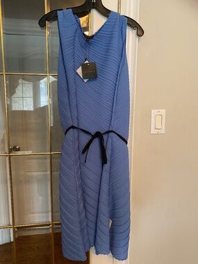 NWT ADOLFO DOMINGUEZ pleated dress